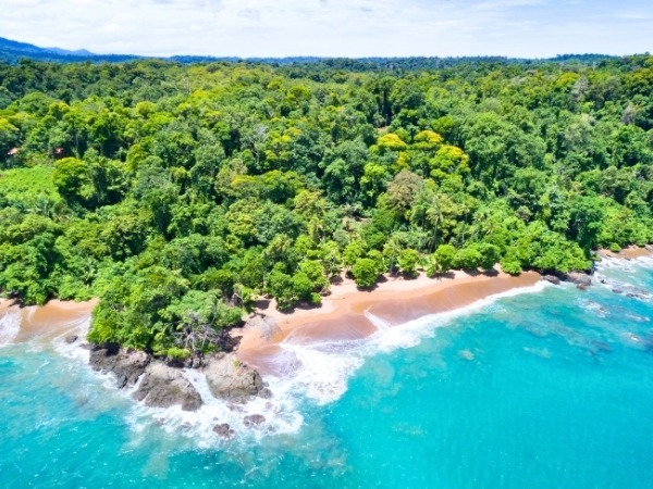 Aerial View of Corcovado National Park