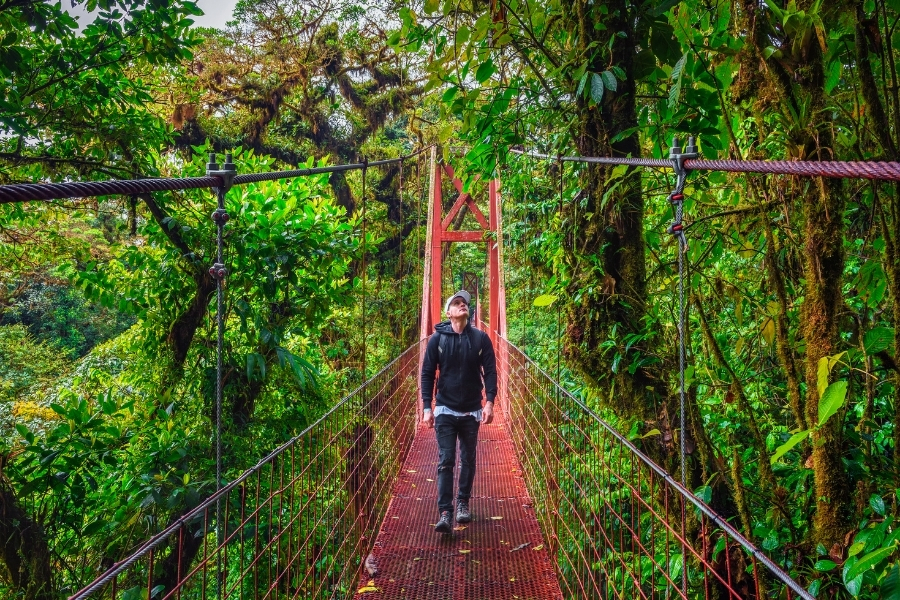A Guide to Exploring the Cloud Forests of Monteverde