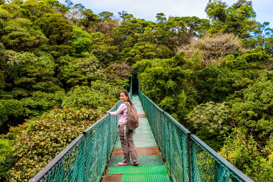Discover the Wonders of the Cloud Forests of Monteverde
